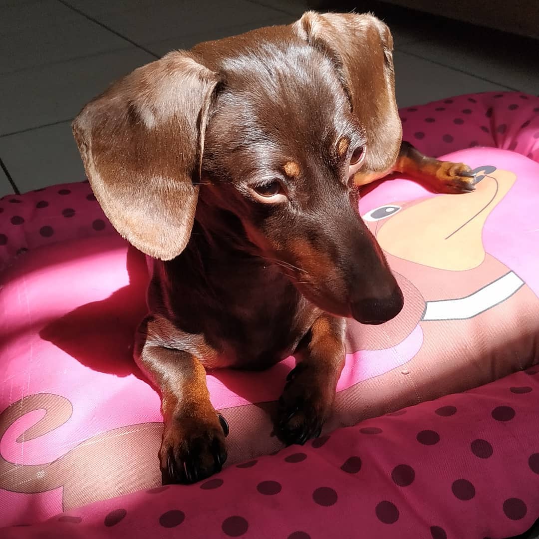 WhatsApp Image 2021-06-25 at 12.27.49 AM