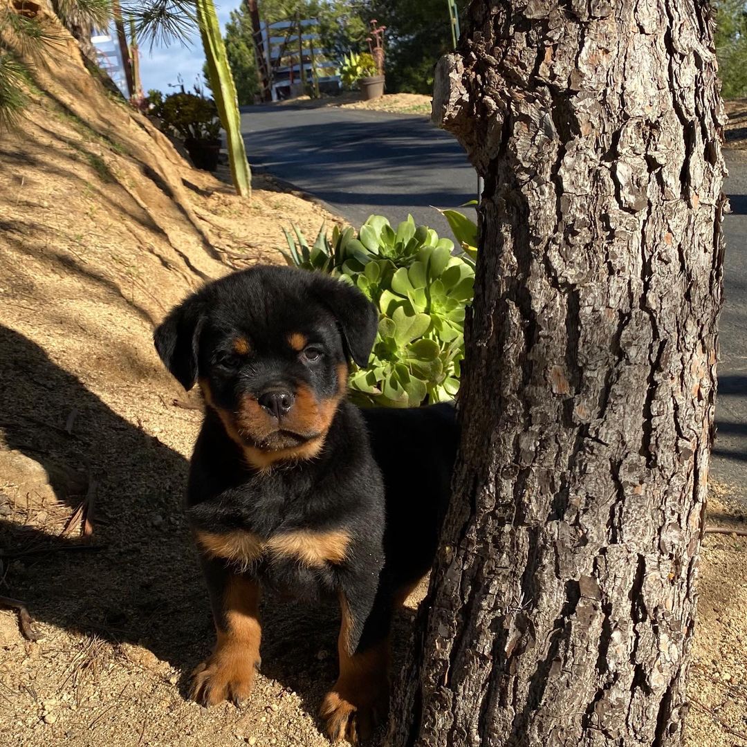 WhatsApp Image 2021-08-02 at 20.34.08