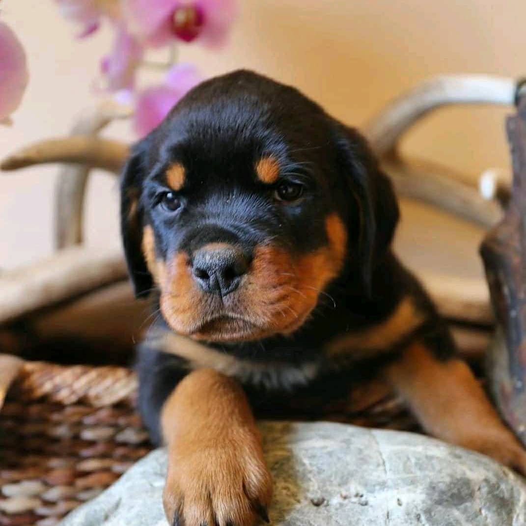 WhatsApp Image 2021-08-02 at 20.34.12