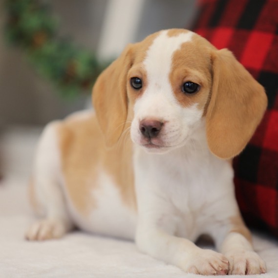 WhatsApp Image 2021-08-04 at 15.31.34