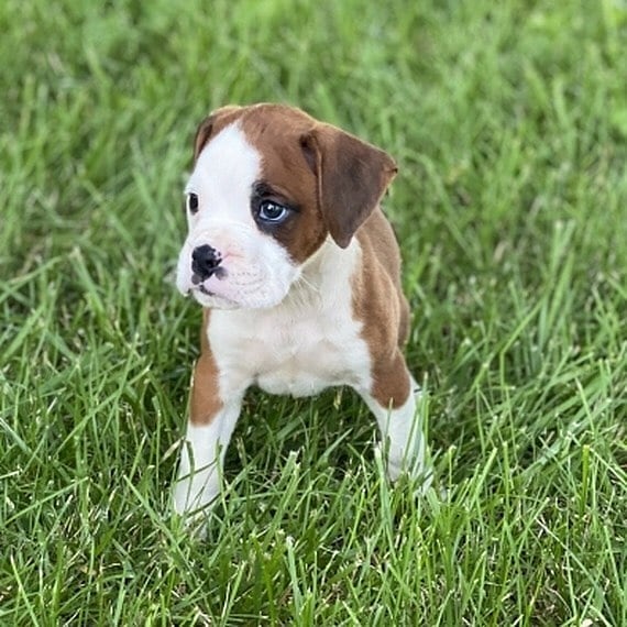 WhatsApp Image 2021-08-05 at 15.15.30