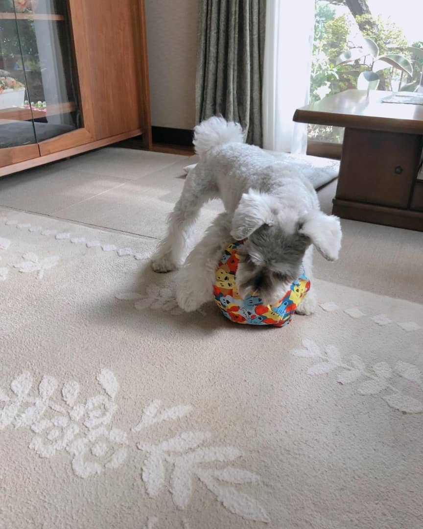 WhatsApp Image 2021-08-09 at 17.14.42 (1)