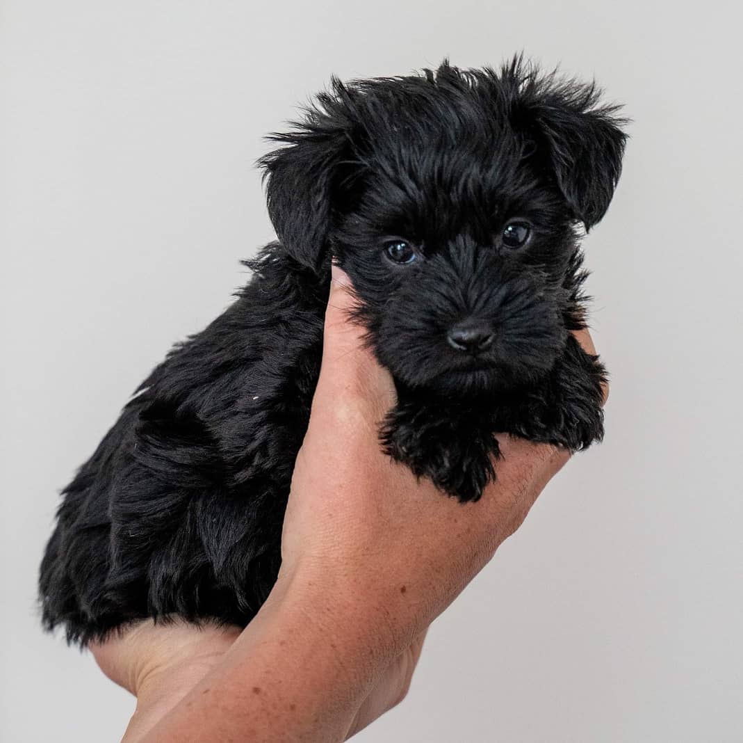 WhatsApp Image 2021-08-09 at 17.14.49