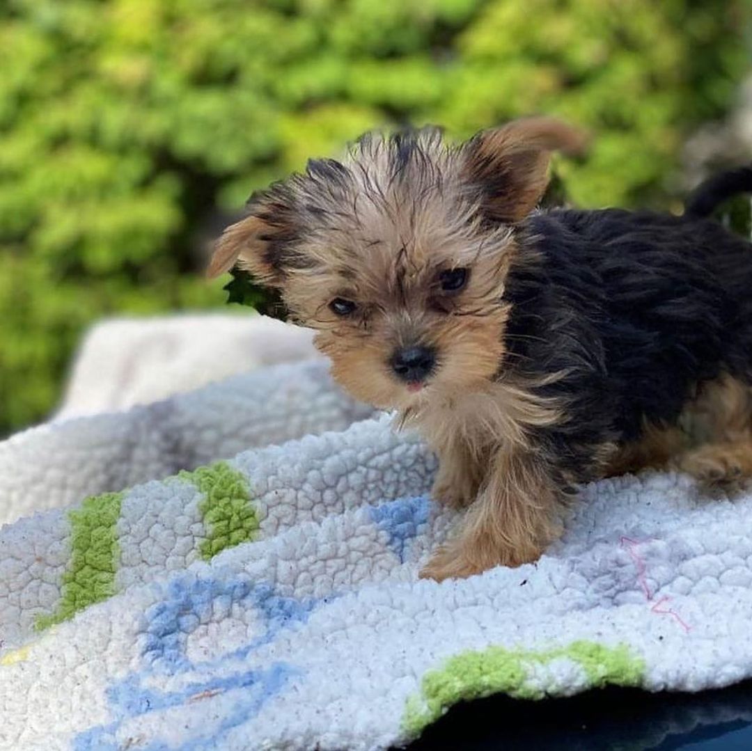 WhatsApp Image 2021-08-10 at 17.55.56