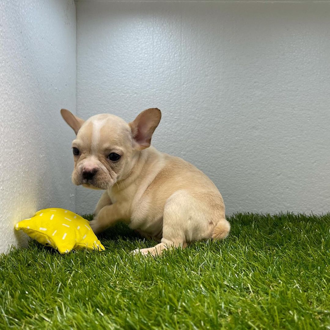 WhatsApp Image 2021-10-01 at 00.56.03 (9)