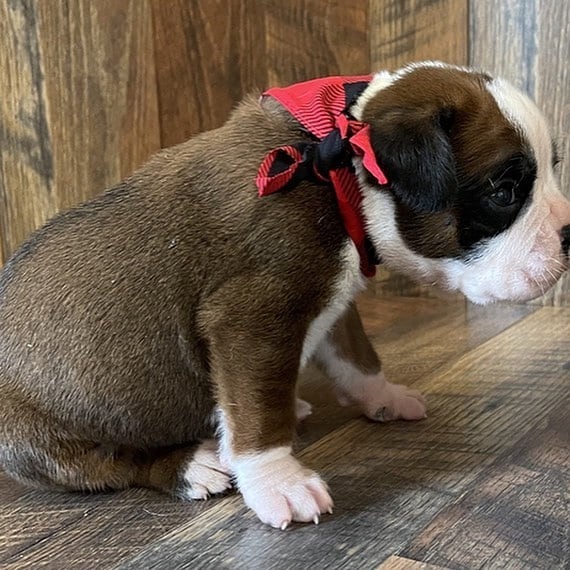 WhatsApp Image 2021-10-06 at 15.32.23 (1)