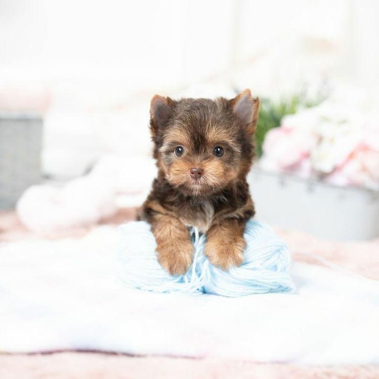 WhatsApp Image 2021-11-03 at 08.44.20 (9)