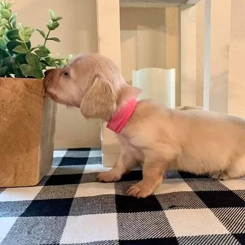 keven_jurgens_1639388085415724