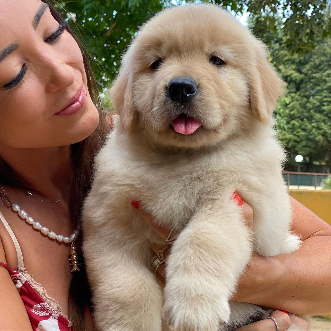 gffkennel_1644562255680416.jpg