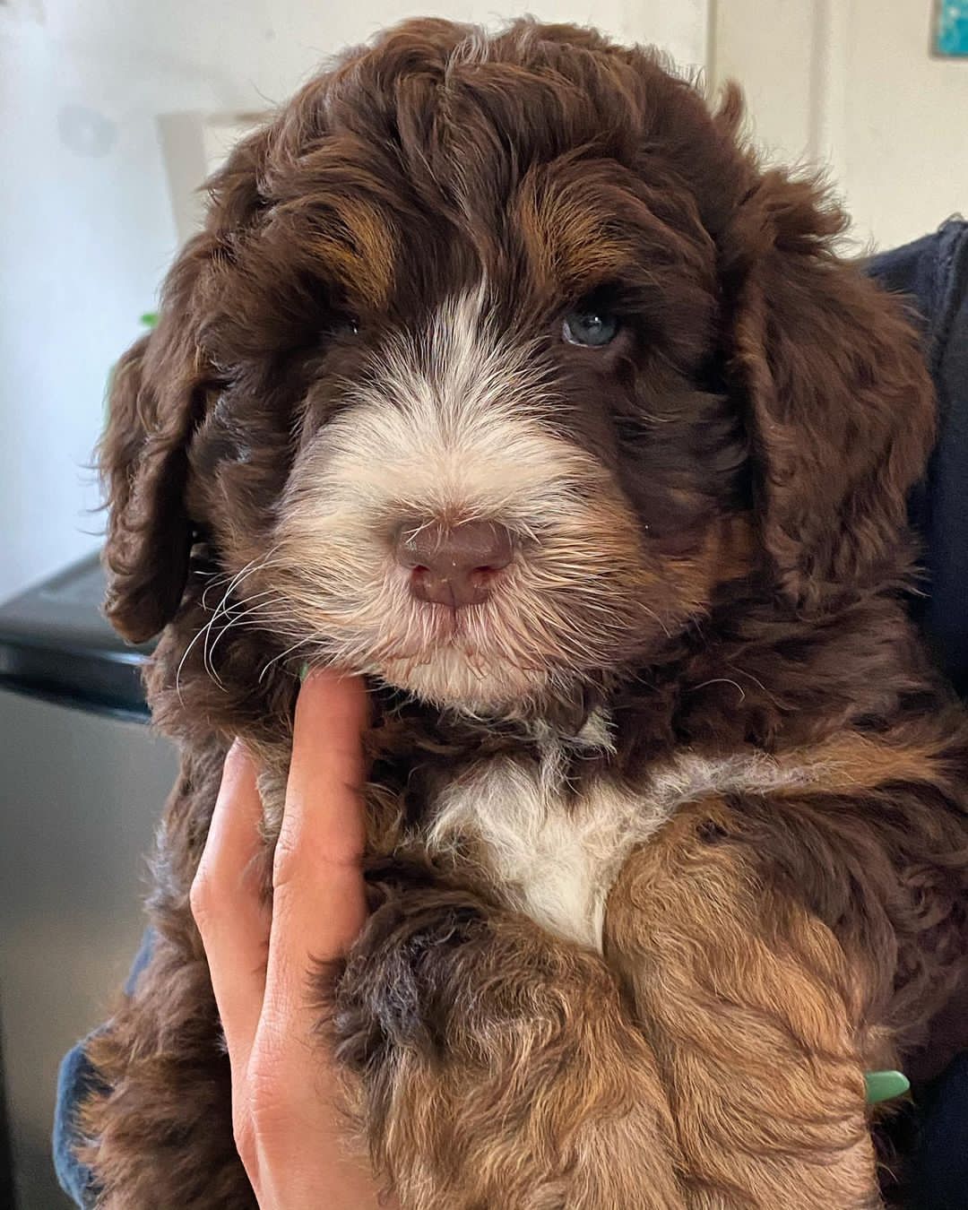 thatdudehershey-20220207-0001