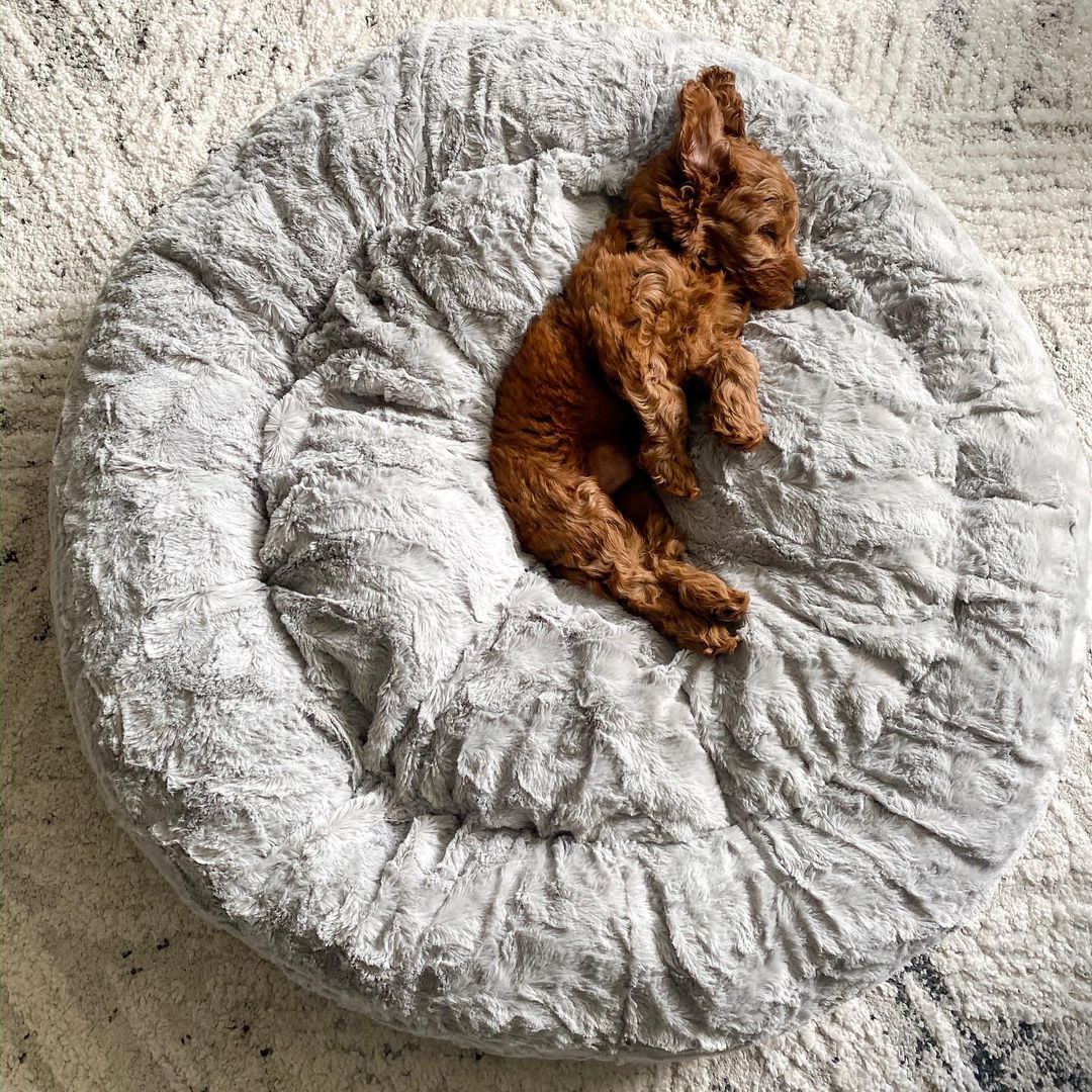 whereswaffles_-20220207-0003